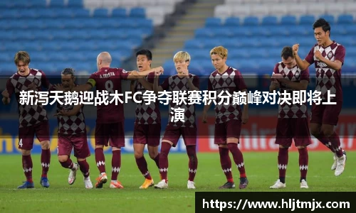 新泻天鹅迎战木FC争夺联赛积分巅峰对决即将上演